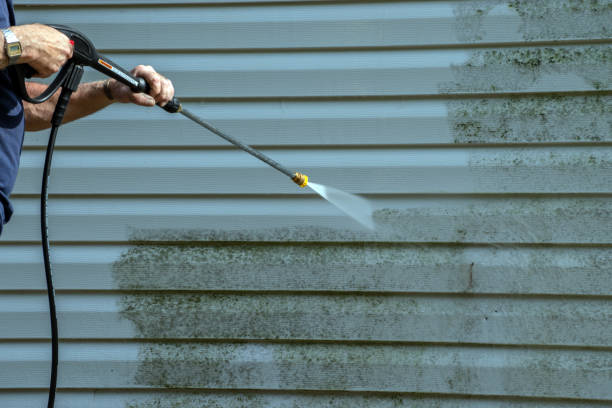 Best Roof Pressure Washing  in The Hills, NJ